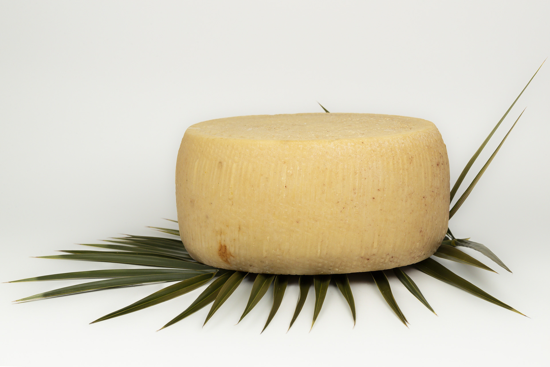 Pecorino riserva